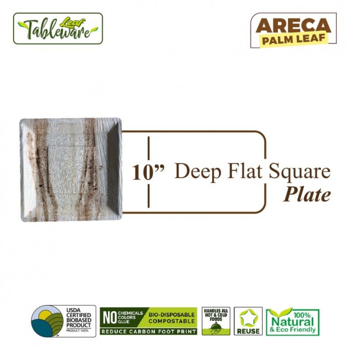 10" Deep Flat Square Dinner Plate
